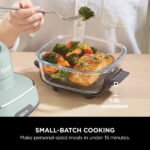 Ninja CRISPi 4-in-1 Portable Glass Air Fryer - Sage | FN101UKSG