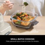 Ninja CRISPi 4-in-1 Portable Glass Air Fryer - Stone | FN101UKST